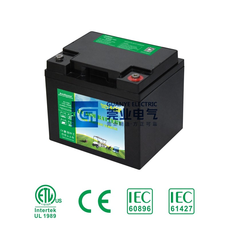 Shop EV AGM Battery Power Distribution Cabinet | Guanye®