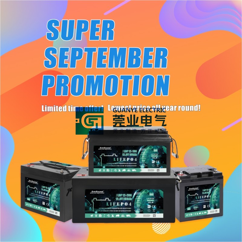 Hot sale Factory Promotional High Capacity Lithium Battery 12V 200ah Rechargeable LiFePO4 Battery | Guanye®