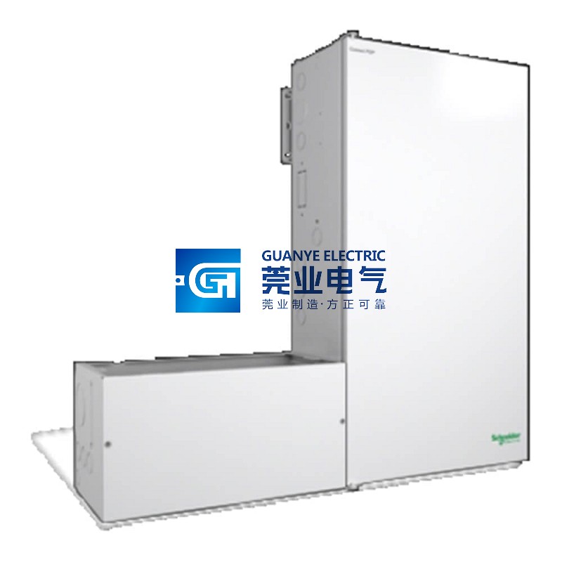 Buy Schneider RNW865101501 XW Power Distribution Panel | Guanye®