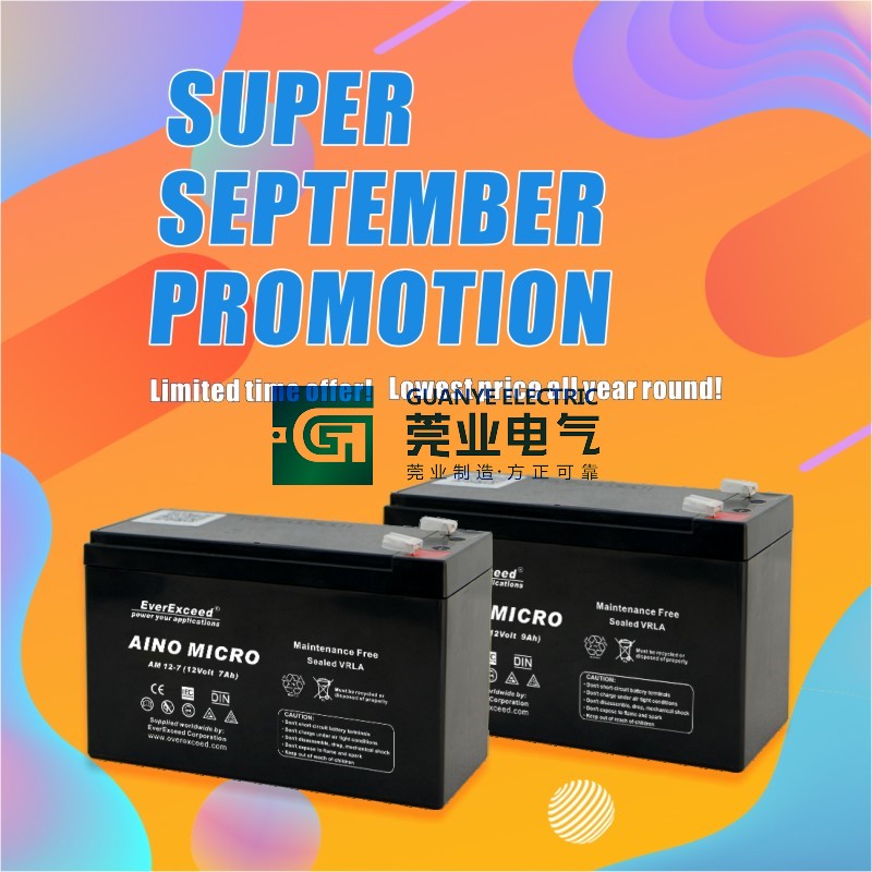 China September Promotional Sale AINO MICRO Range VRLA Battery | Guanye®