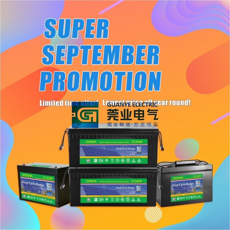 Shop September Promotional Sale Deep Cycle AGM Range VRLA Battery | Guanye®