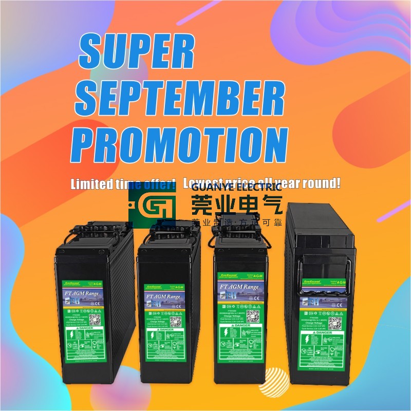 OEM September Promotional Sale Front Access FT Range VRLA Battery | Guanye®