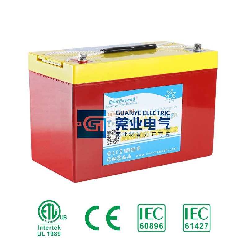 OEM Telecom Max Range VRLA Battery | Guanye®